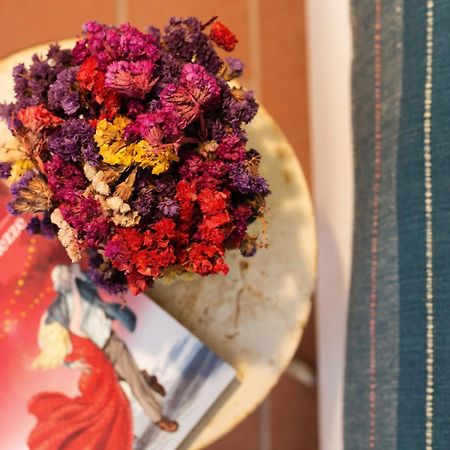 At Home In Maremma Istia dʼOmbrone 部屋 写真