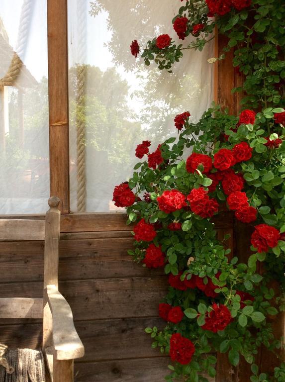 At Home In Maremma Istia dʼOmbrone エクステリア 写真