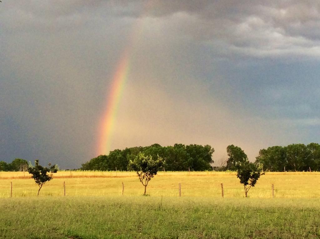 At Home In Maremma Istia dʼOmbrone エクステリア 写真