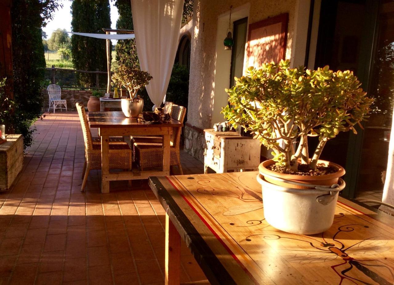 At Home In Maremma Istia dʼOmbrone エクステリア 写真